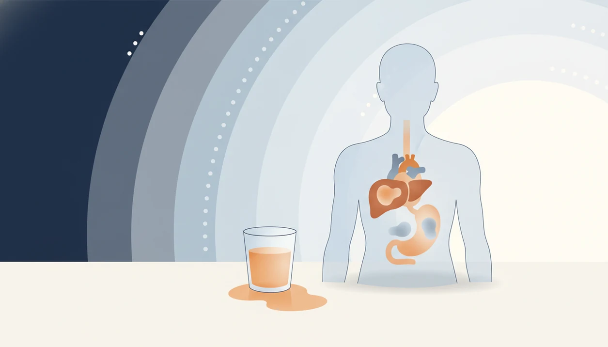 A calm illustration shows alcohol’s lingering effects across body systems over time.