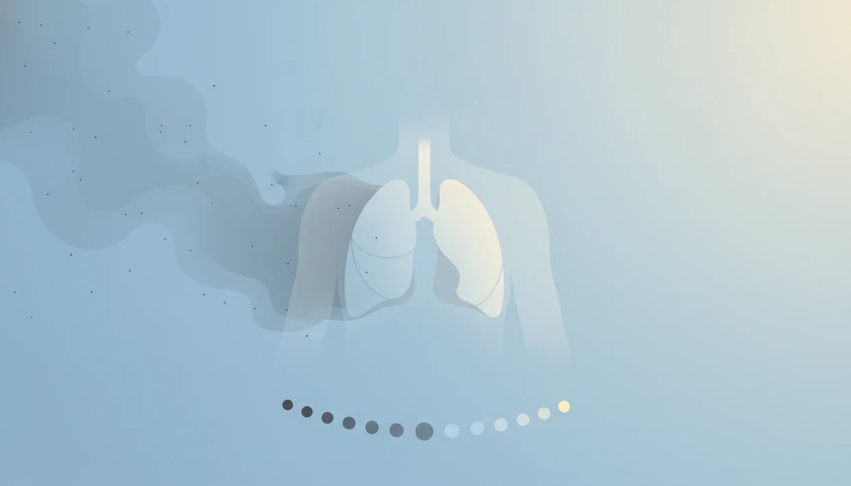 An illustration shows lungs moving from smoky gray particles toward clear blue air and recovery.